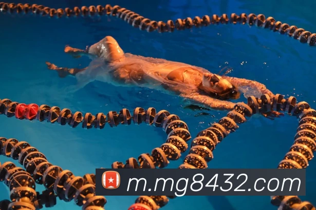 MG娱乐平台官网APP 封面图